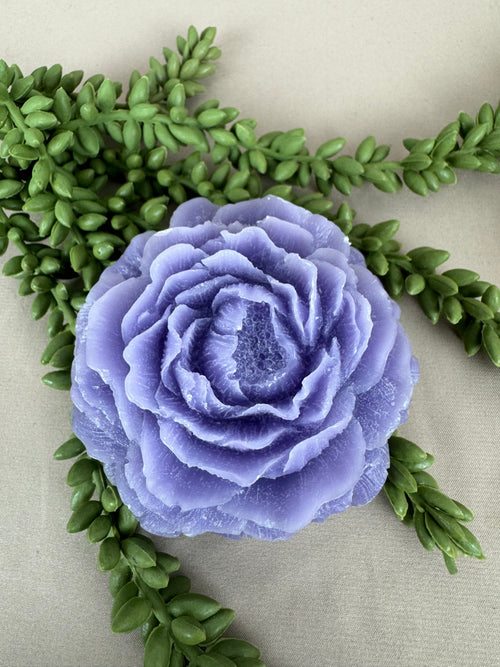 Amber roos Lavendel