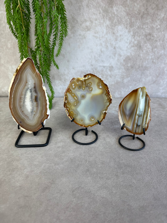 Standaard zwart schijven