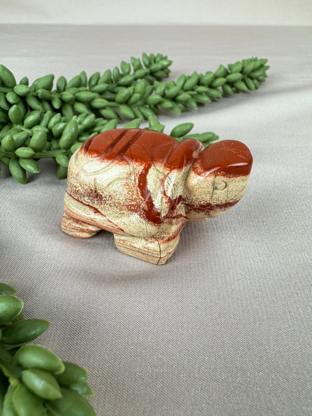 Schildpad rode jaspis