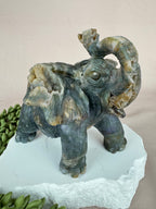 Mos agaat olifant #1352