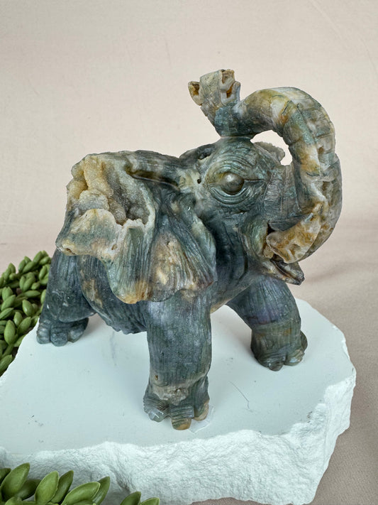 Mos agaat olifant #1352