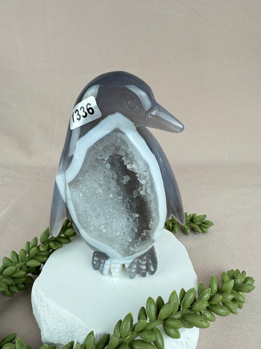 agaat Pinguïn #1336