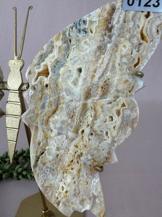 Crazy lace agaat vlinder #0123