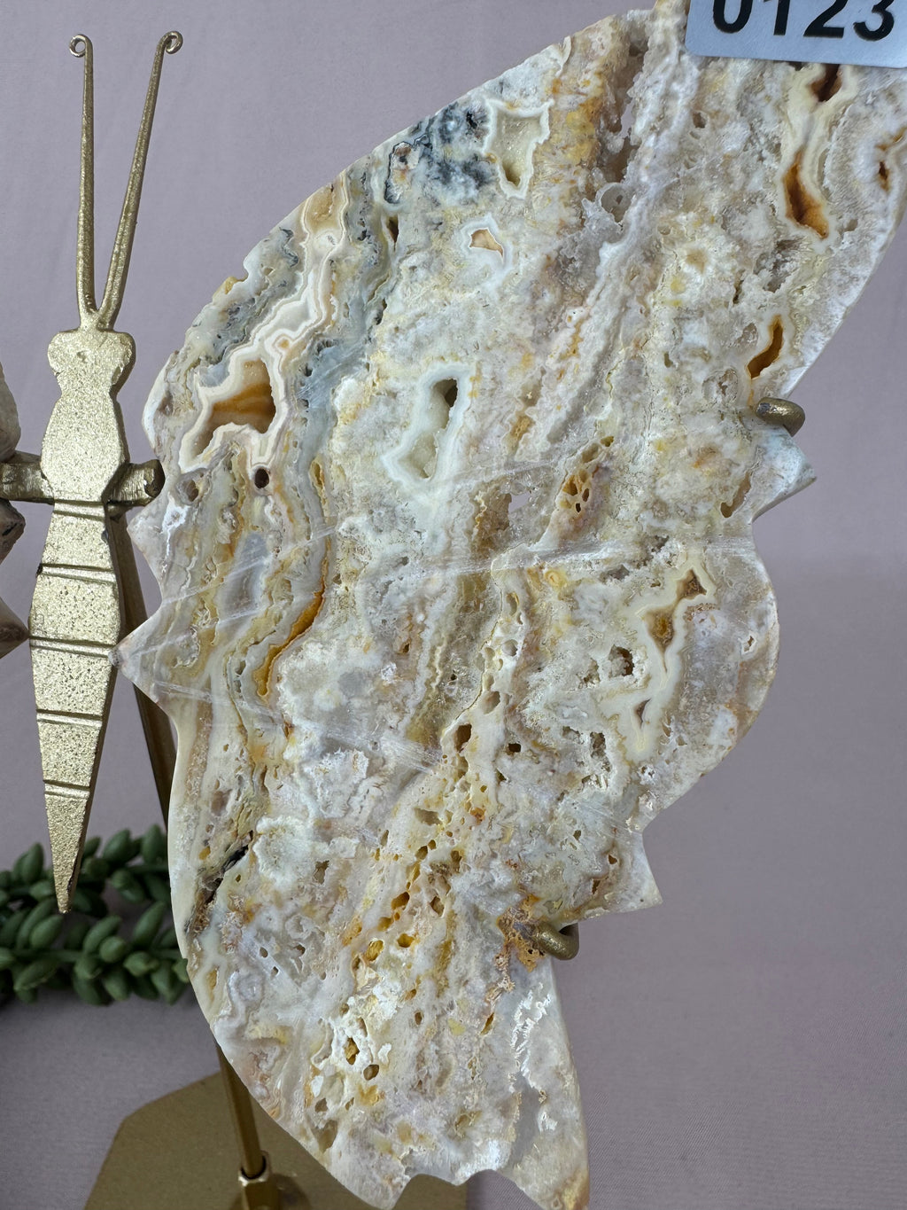 Crazy lace agaat vlinder #0123