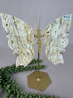 Crazy lace agaat vlinder #0123