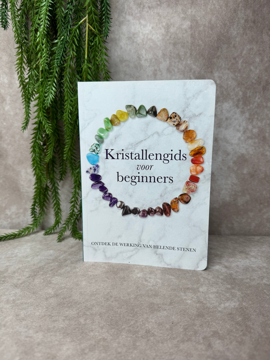 Boek Kristallengids voor beginners