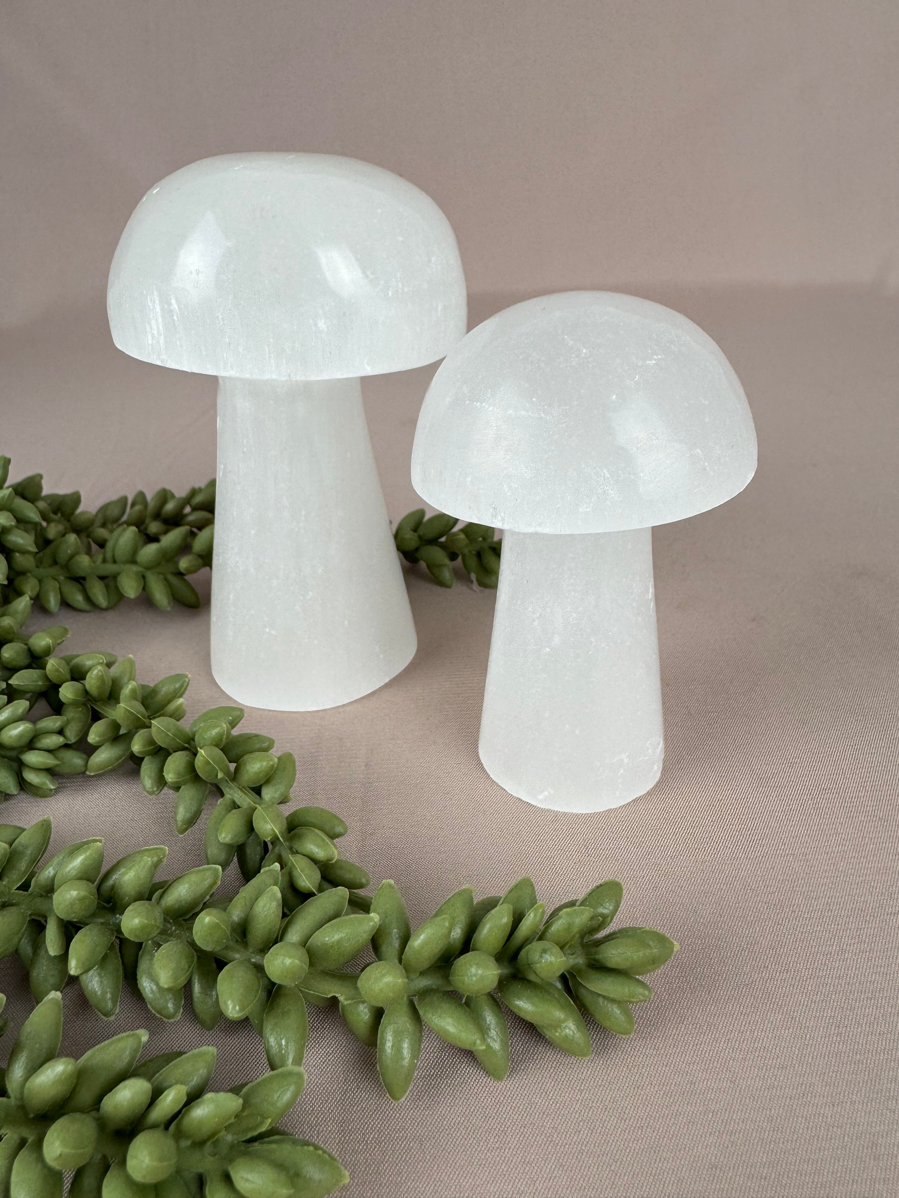 Paddenstoelen Seleniet set