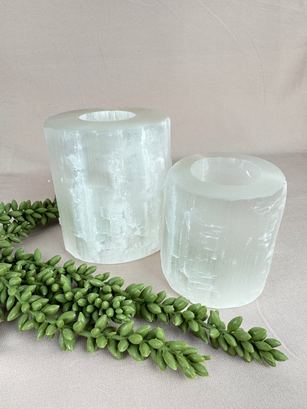 Seleniet waxine groot recht