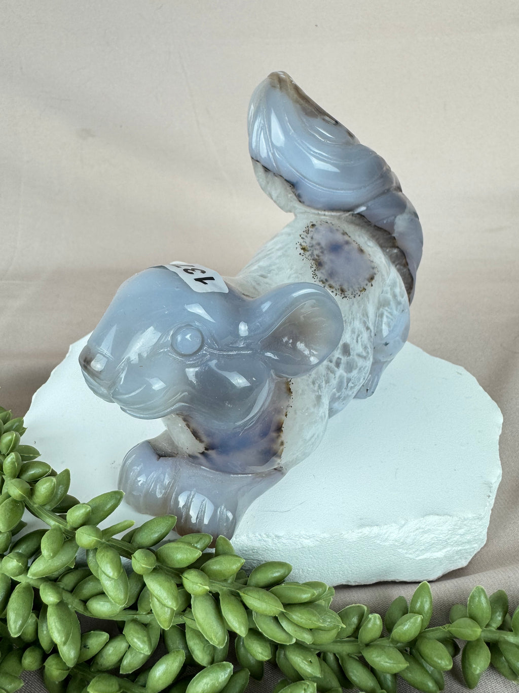 Agaat eekhoorn #1370