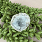 Chalcedoon Geode #1064