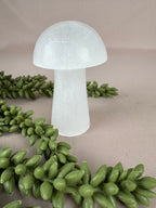 Paddenstoelen Seleniet set