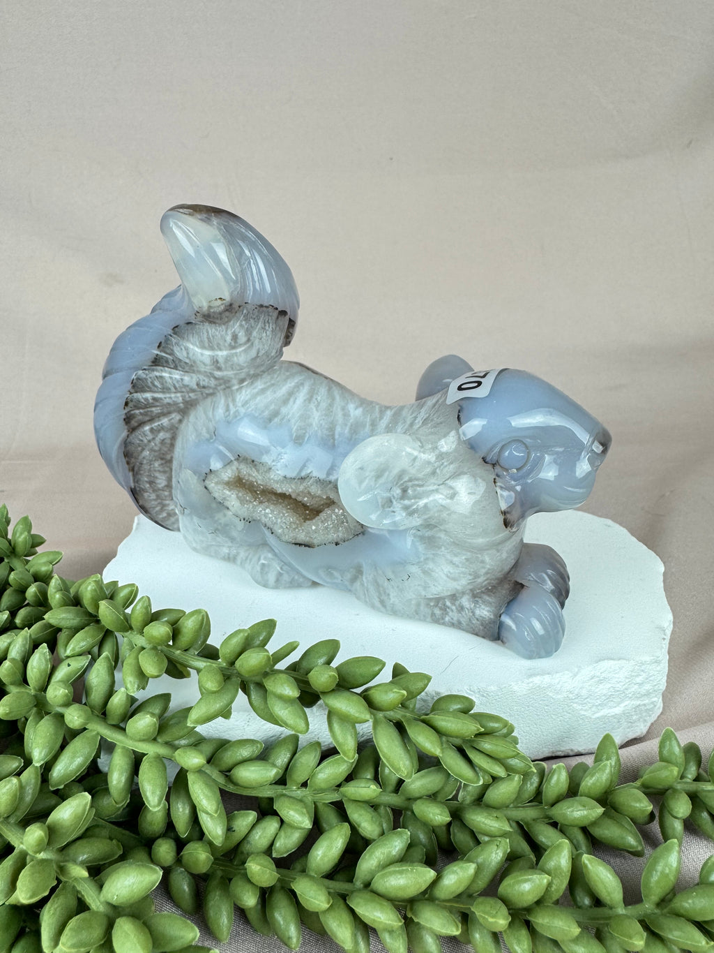 Agaat eekhoorn #1370