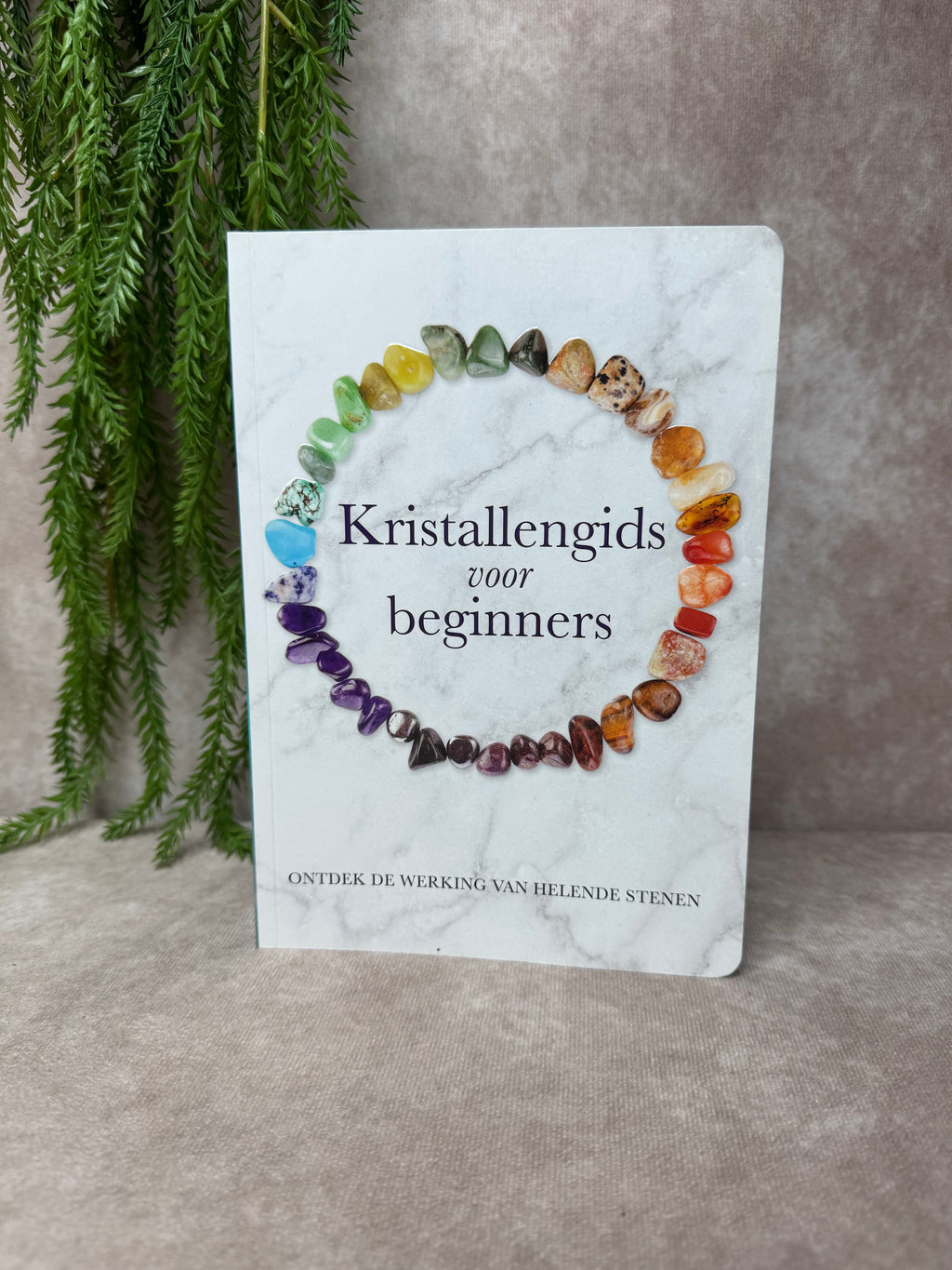 Boek Kristallengids voor beginners