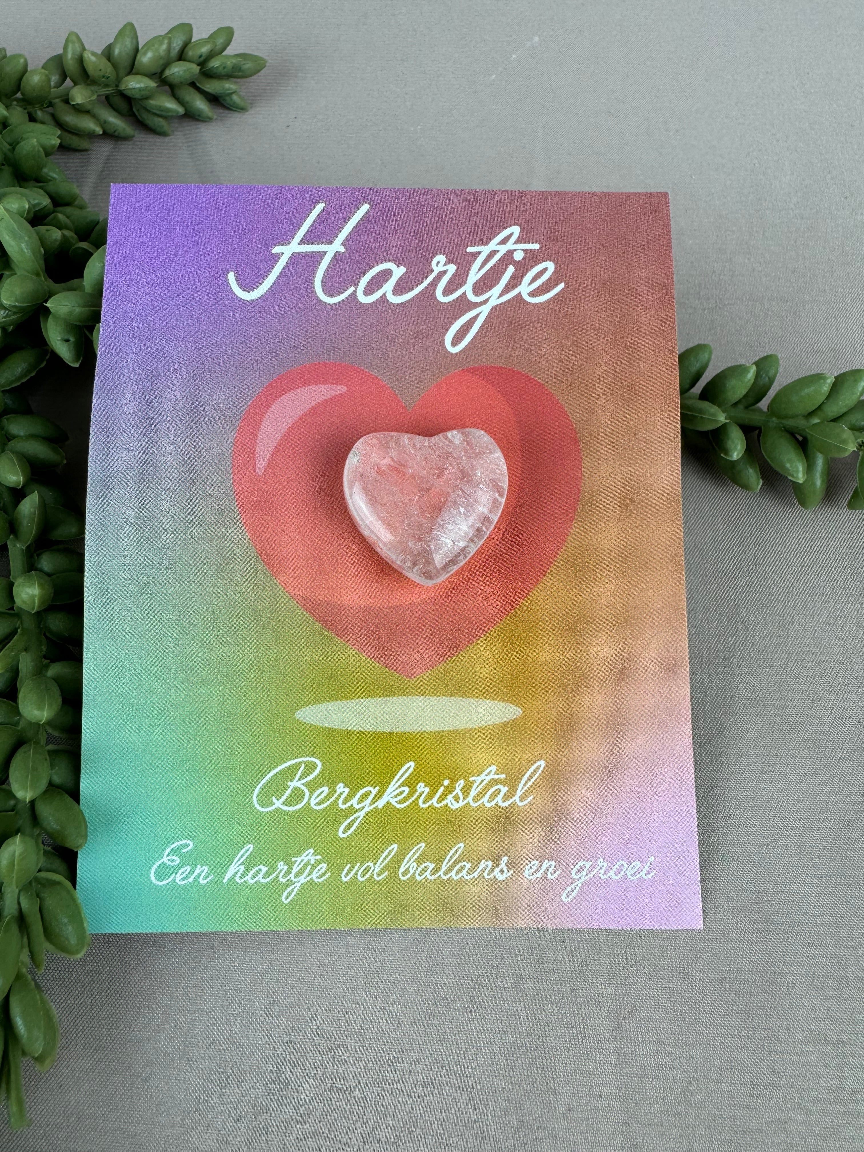 Cadeau zakje Hartje 3 soorten