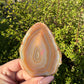 Agaat schijf #1402