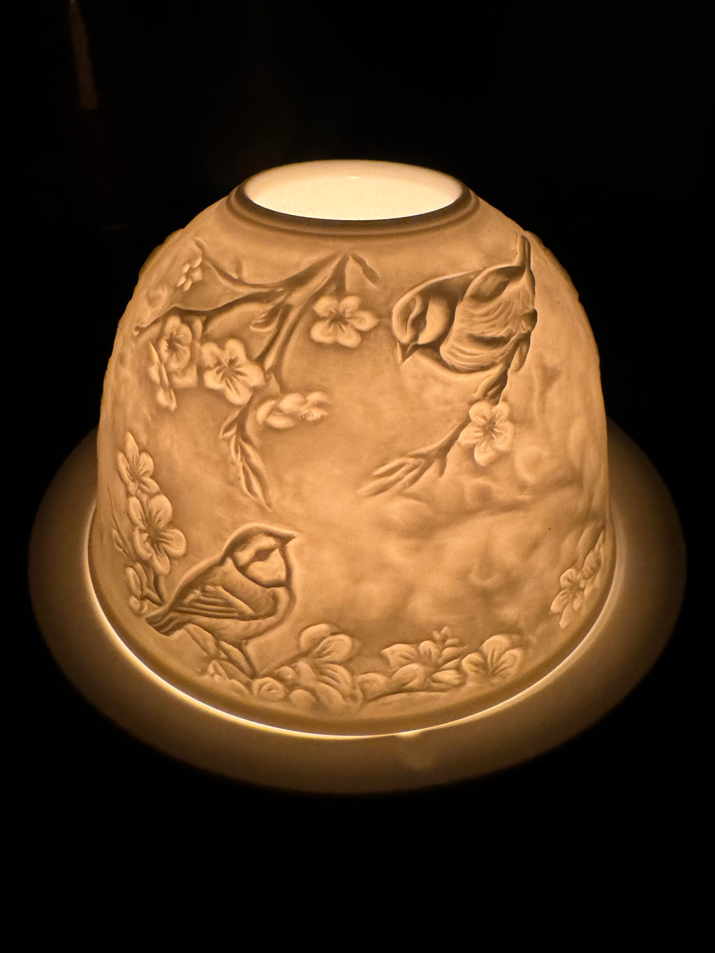 Waxine Dome vogels