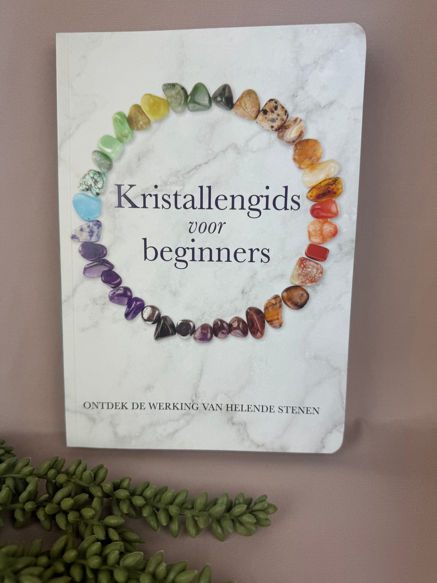 Boeken, Kaarten & Spaarboekjes