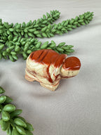 Schildpad rode jaspis