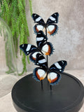 Stolp met 3 vlinders