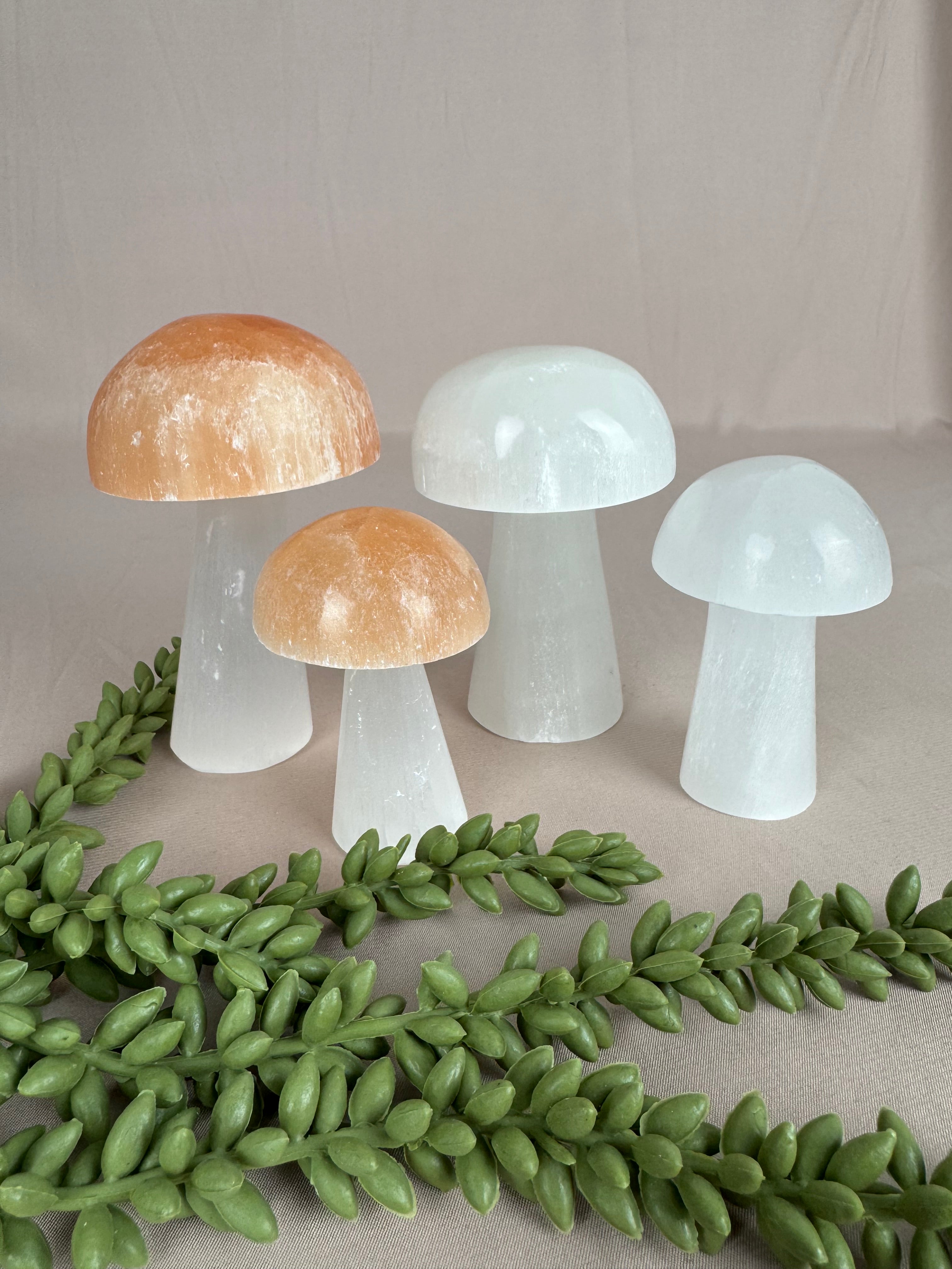 Paddenstoelen Seleniet set