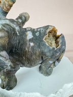 Mos agaat olifant #1352