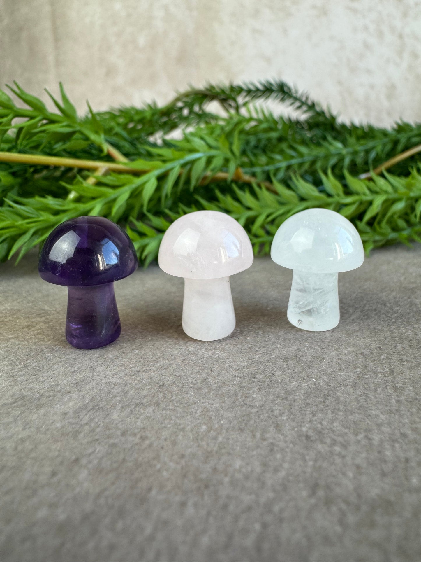 Mini paddenstoelen