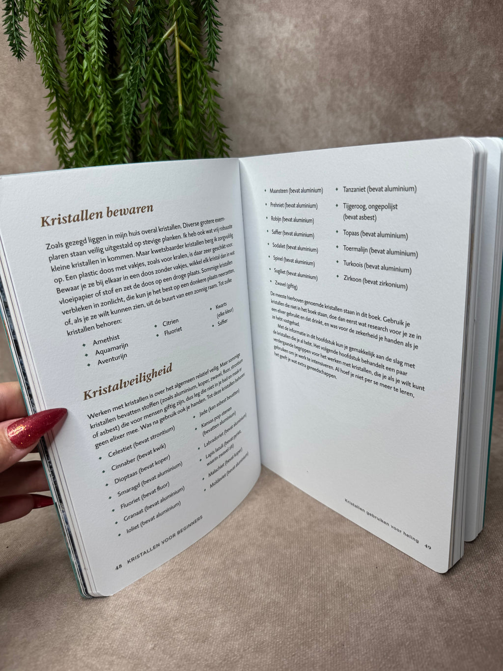 Boek Kristallengids voor beginners