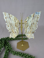 Crazy lace agaat vlinder #0123