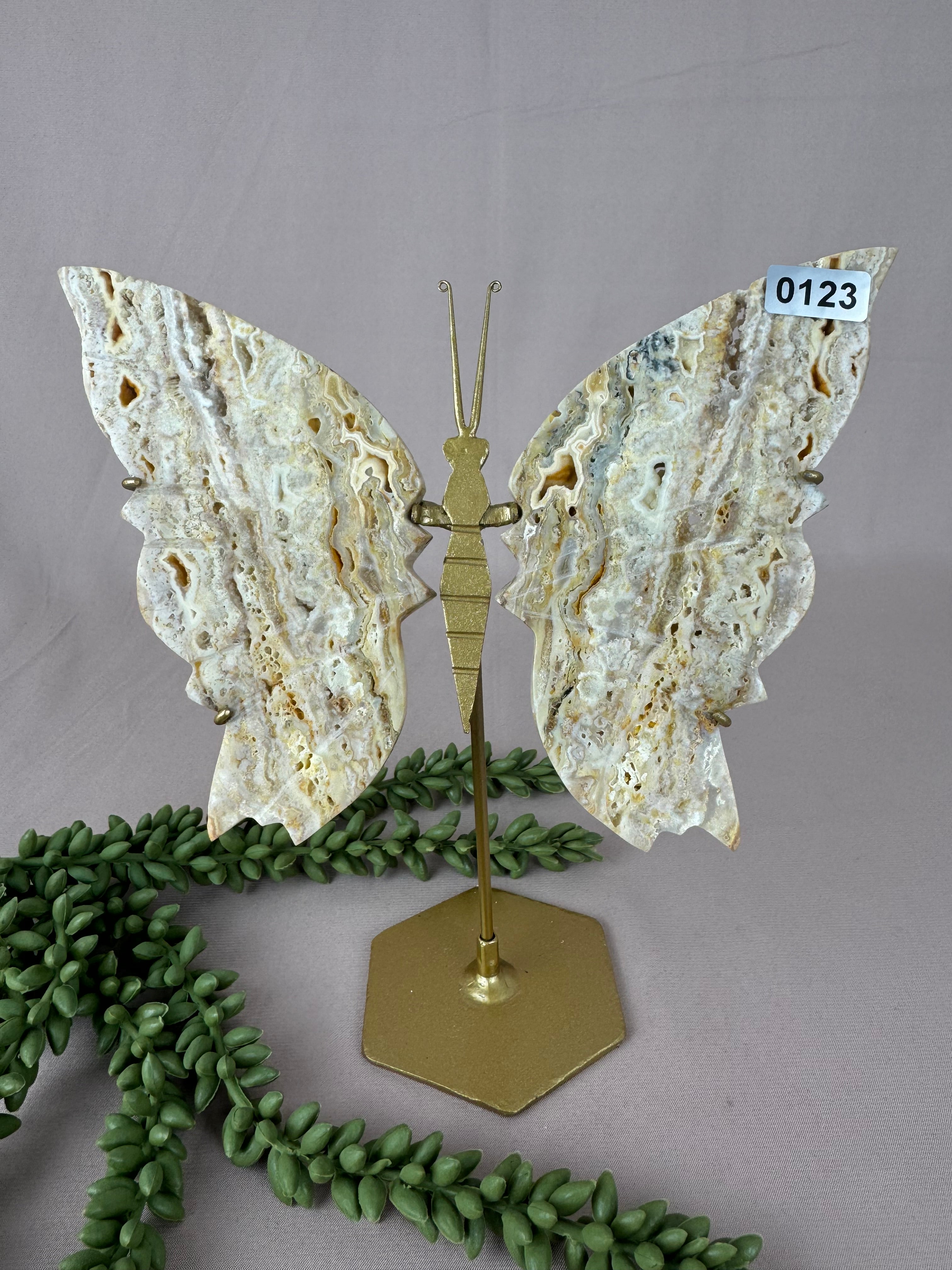 Crazy lace agaat vlinder #0123