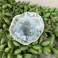 Chalcedoon Geode #1064