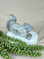 Agaat eekhoorn #1370