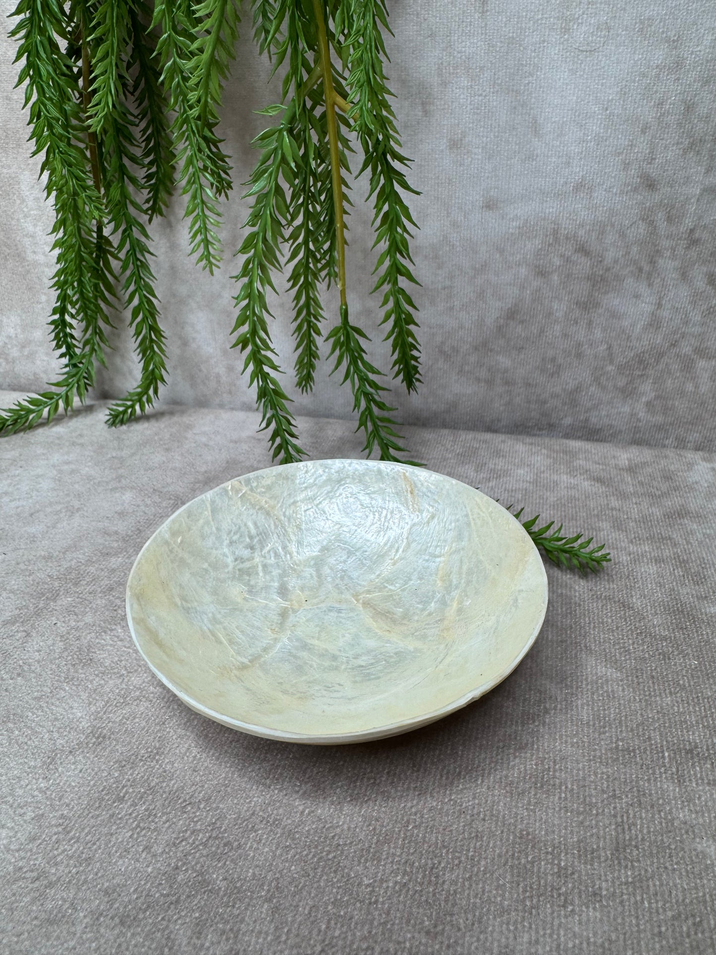 Rond Schelpen schaaltje