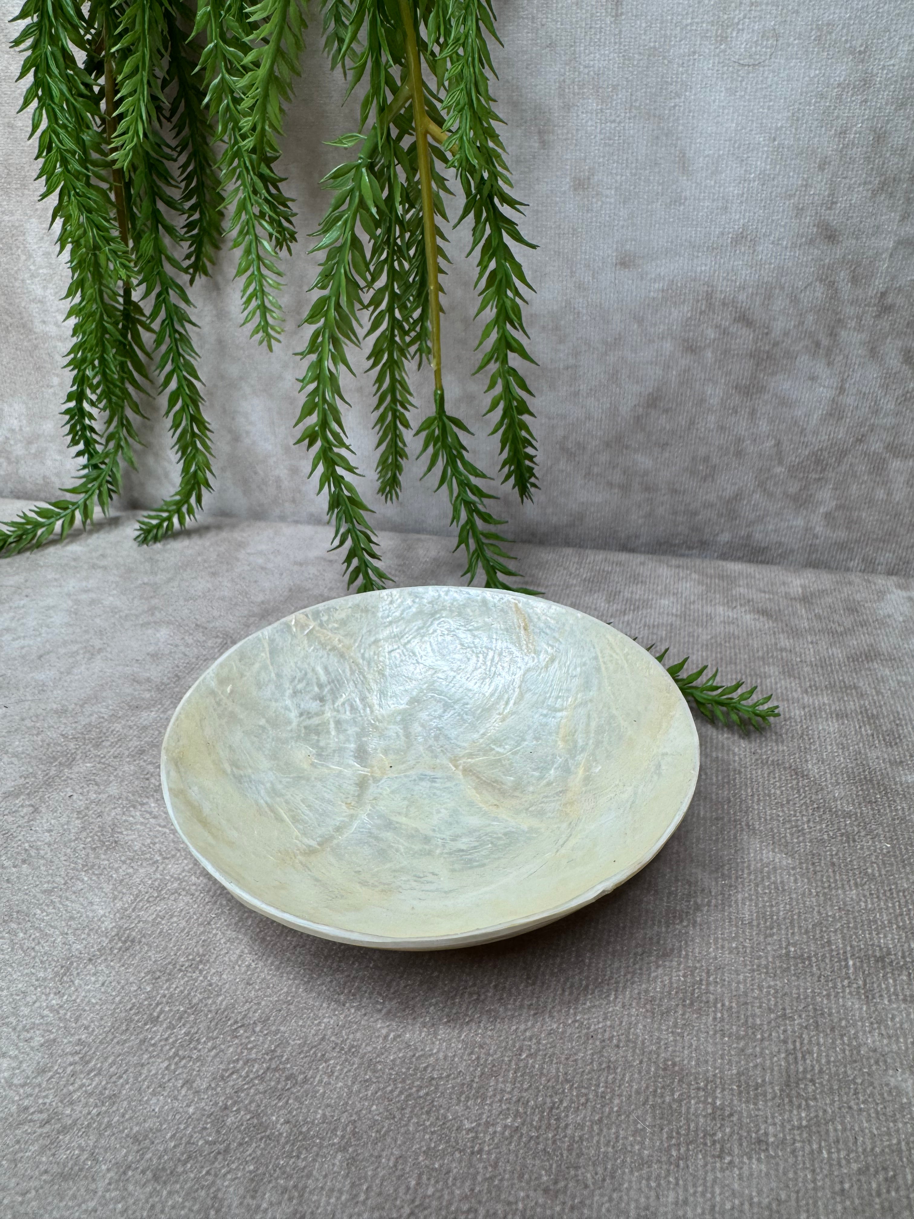 Rond Schelpen schaaltje