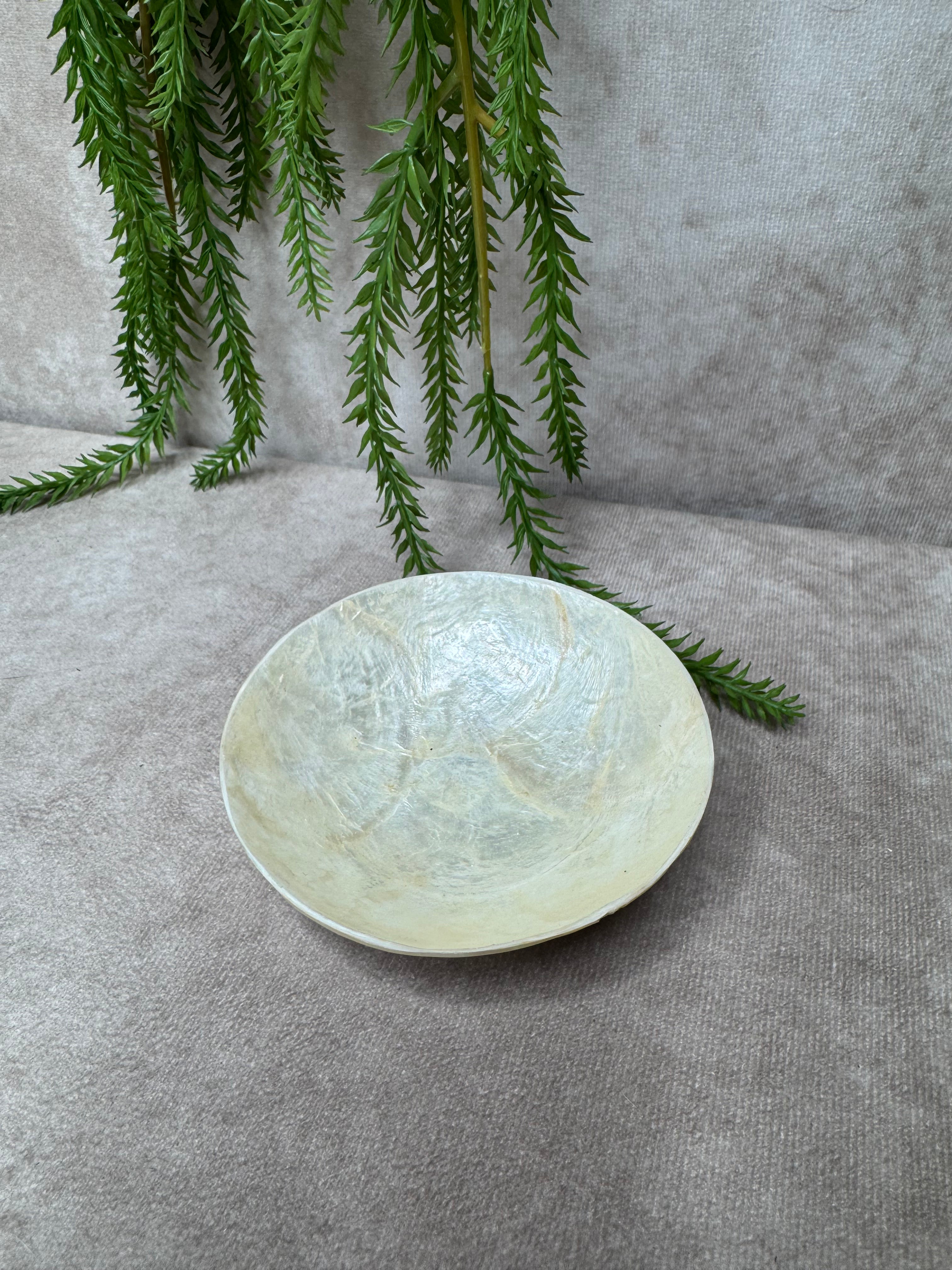 Rond Schelpen schaaltje