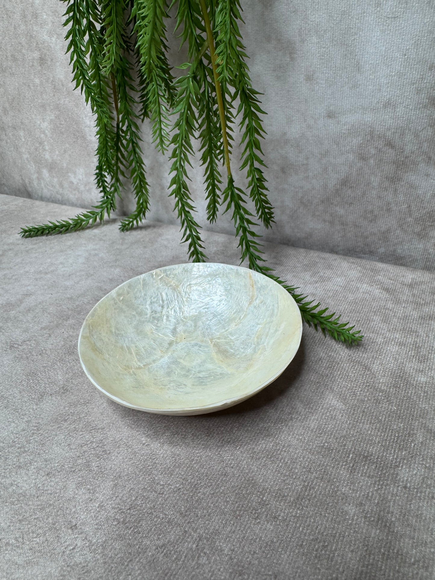 Rond Schelpen schaaltje