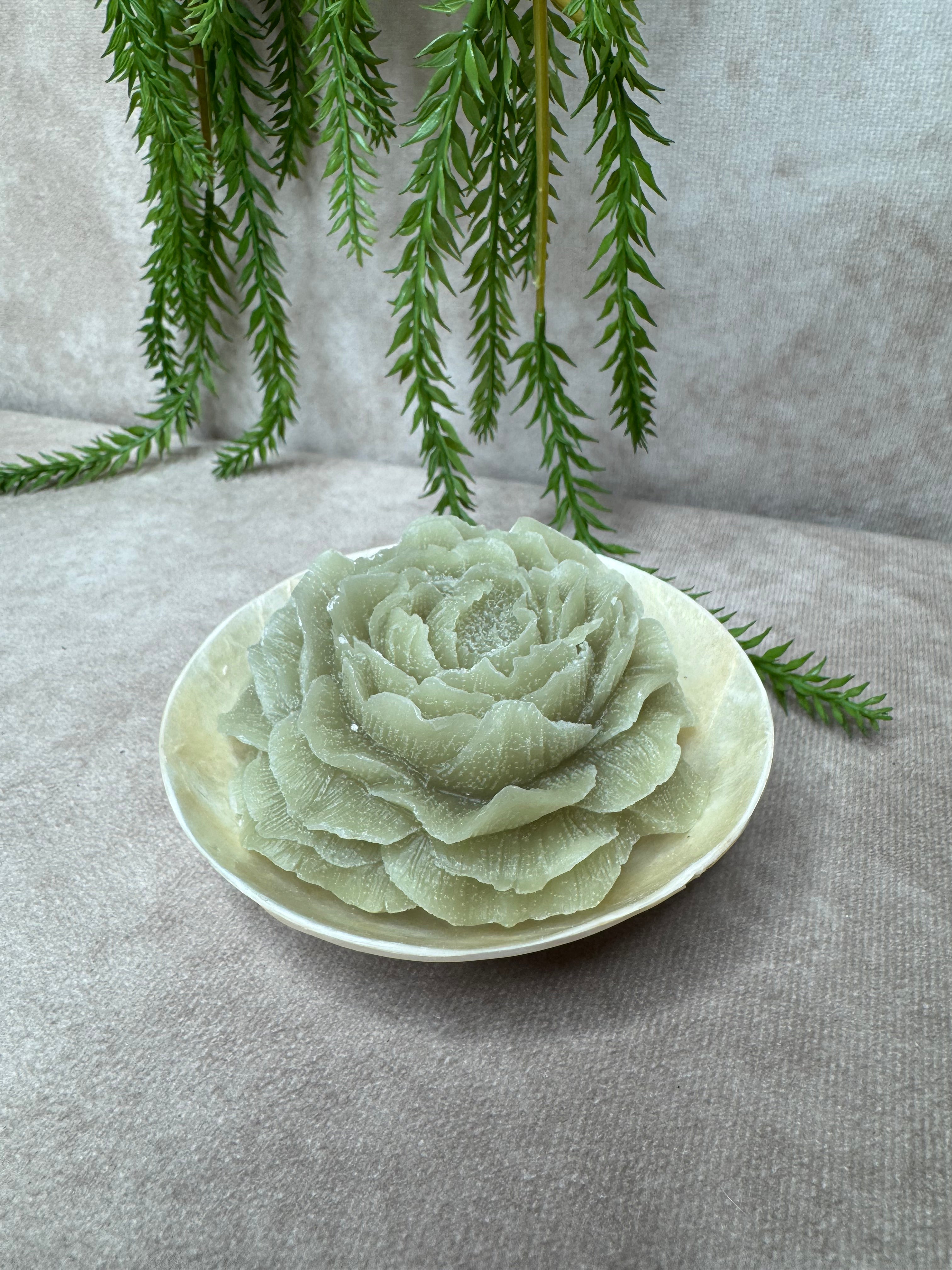 Rond Schelpen schaaltje