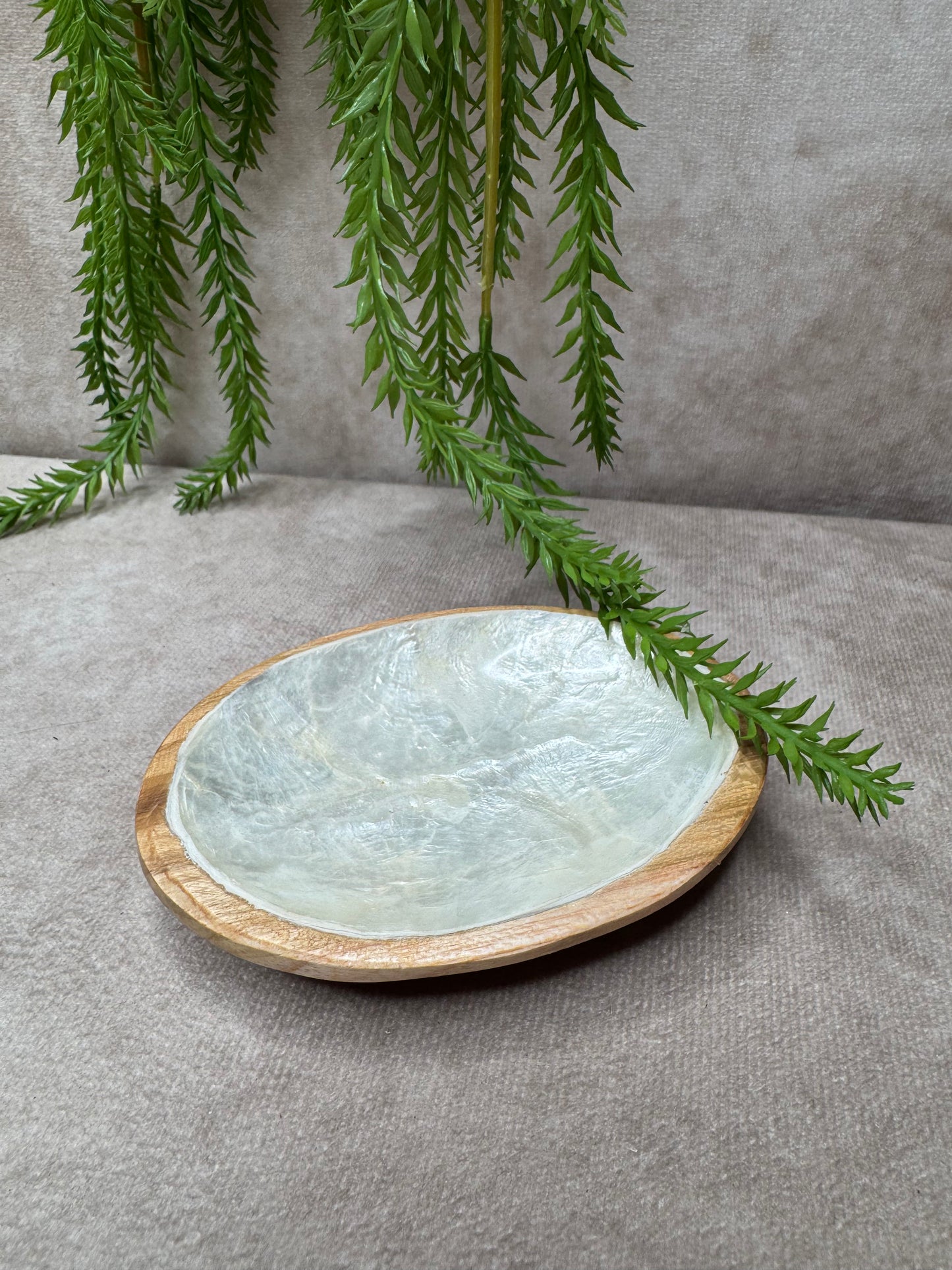 Ovaal schelpen schaaltje