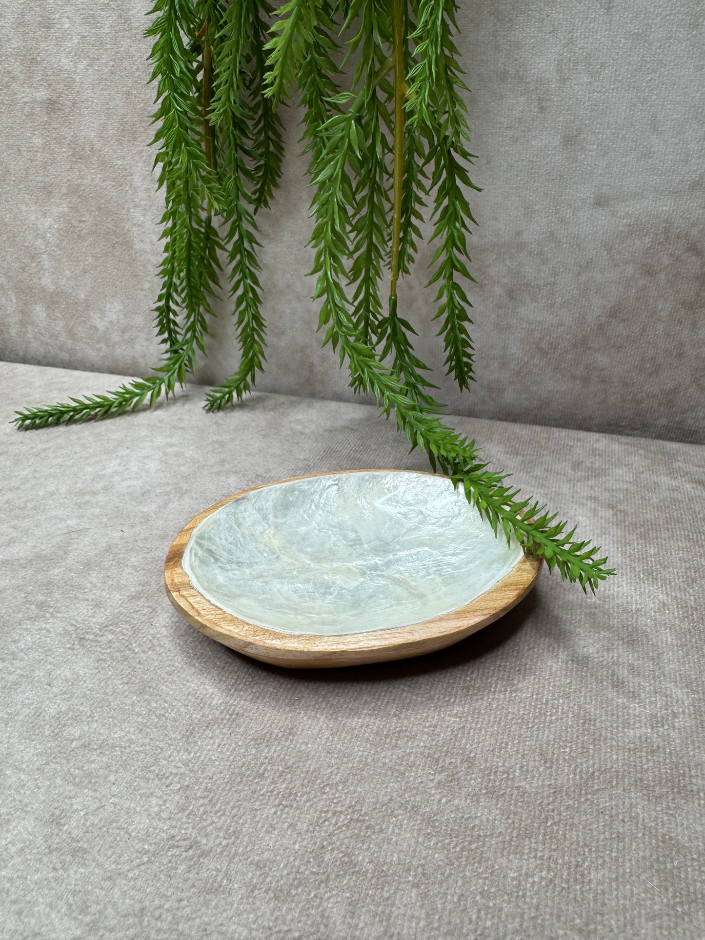 Ovaal schelpen schaaltje