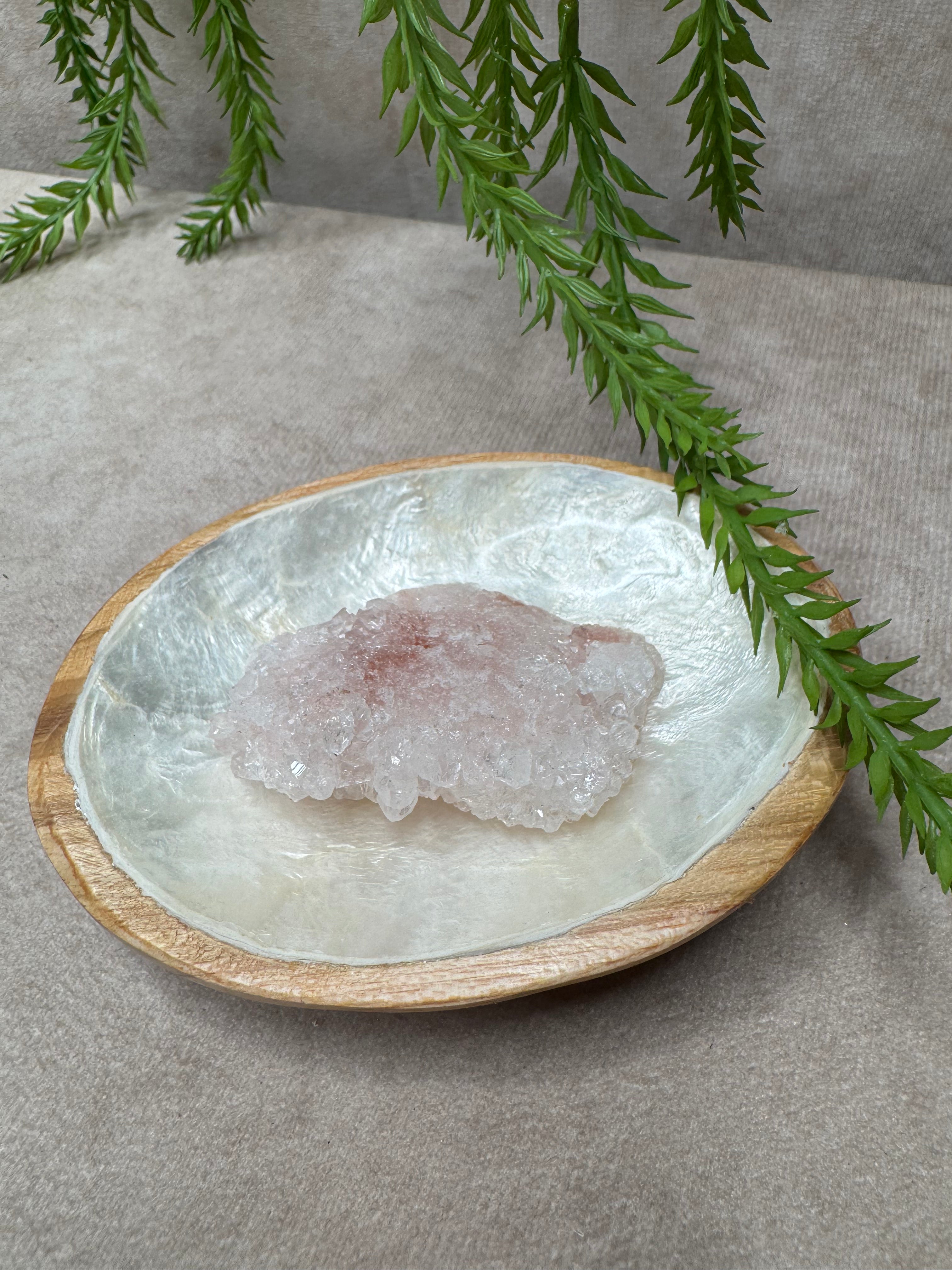 Ovaal schelpen schaaltje