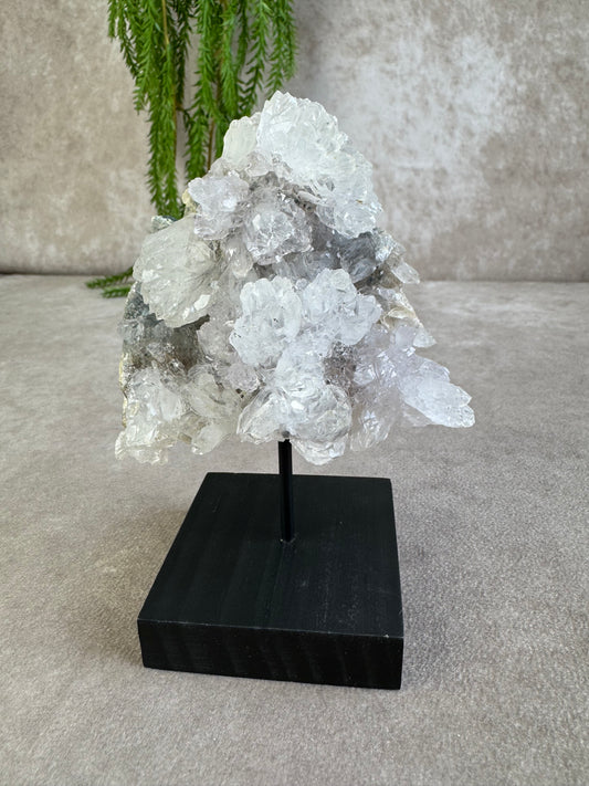 Flower amethist #1487