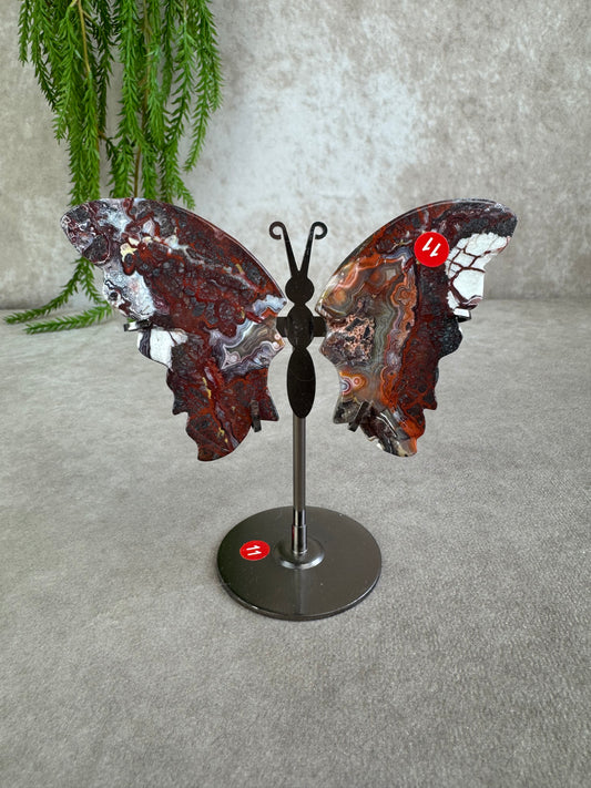 Vlinder crazy lace agaat #11