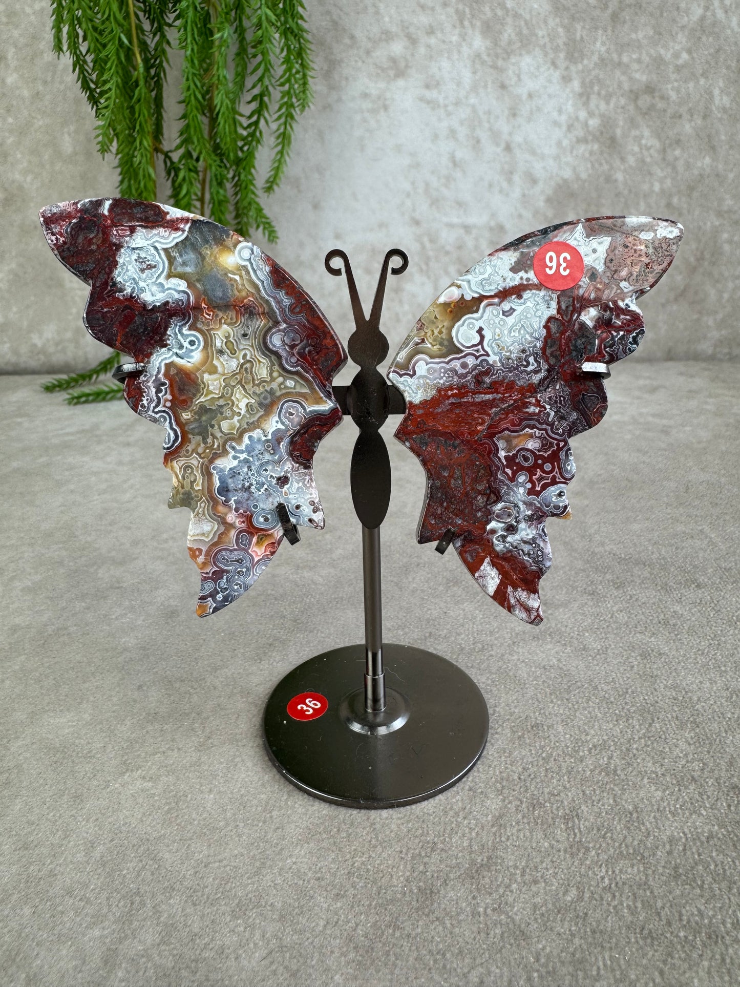 Vlinder crazy lace agaat #36