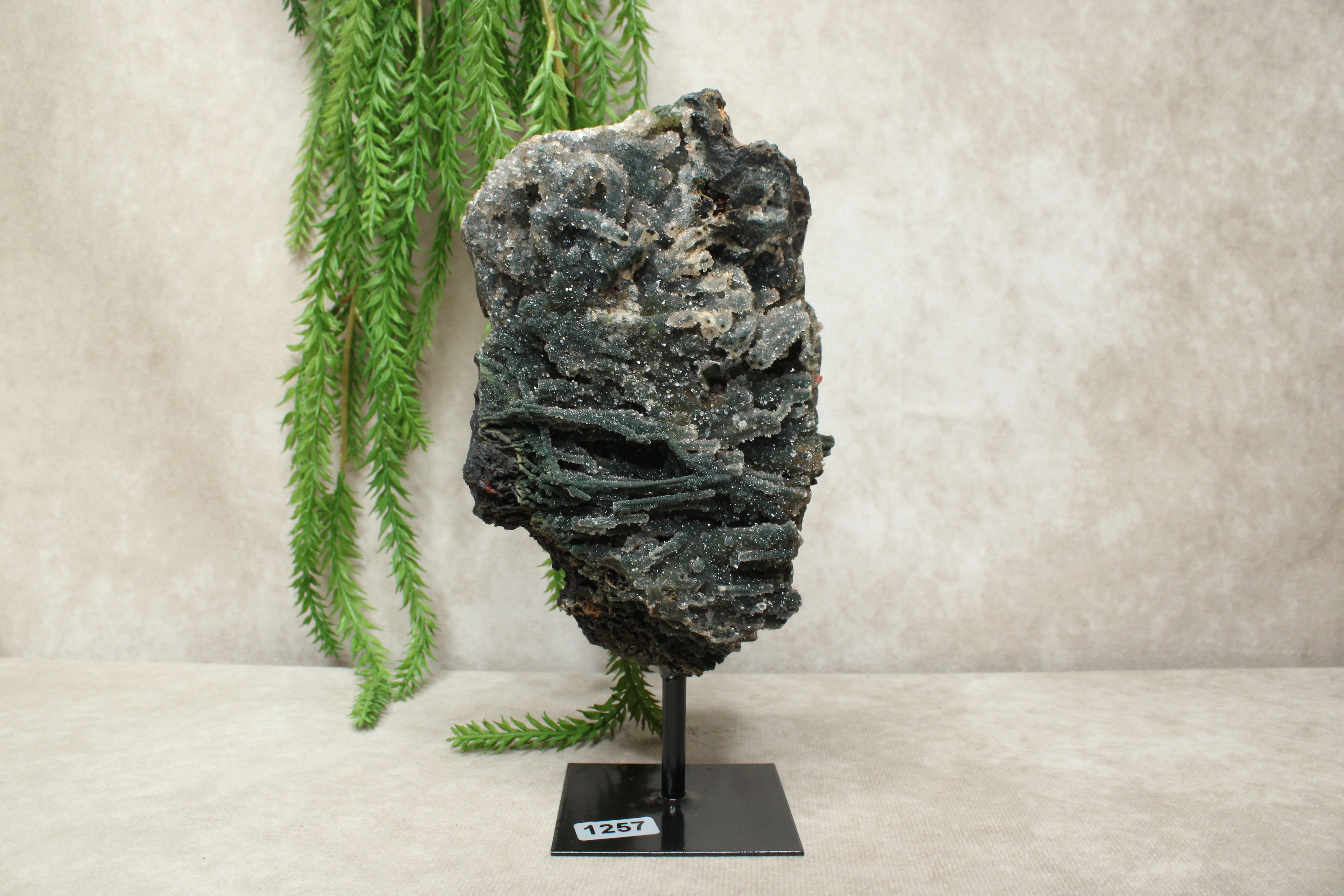 Chalcedoon op standaard #1257