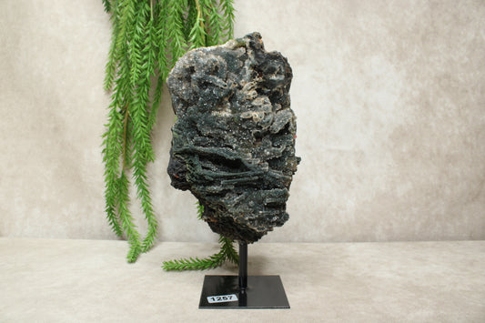 Chalcedoon op standaard #1257