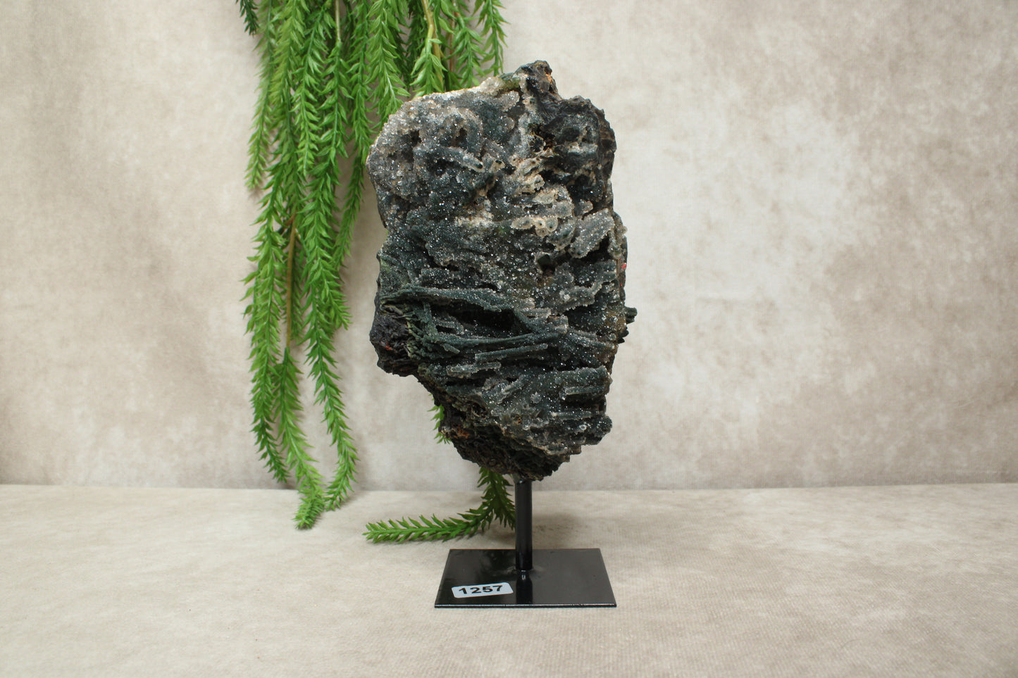 Chalcedoon op standaard #1257