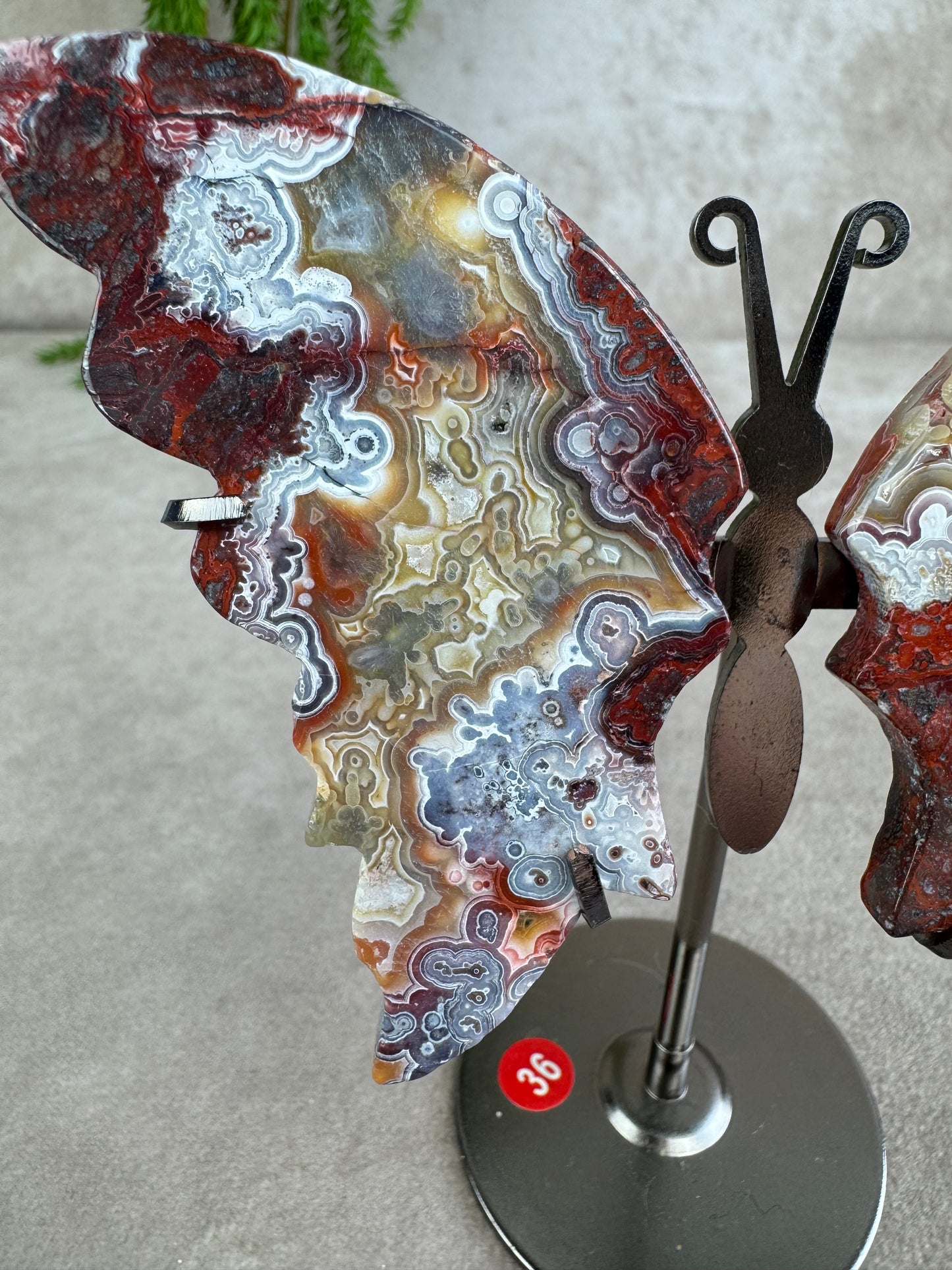 Vlinder crazy lace agaat #36