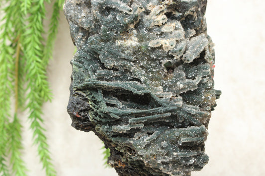 Chalcedoon op standaard #1257