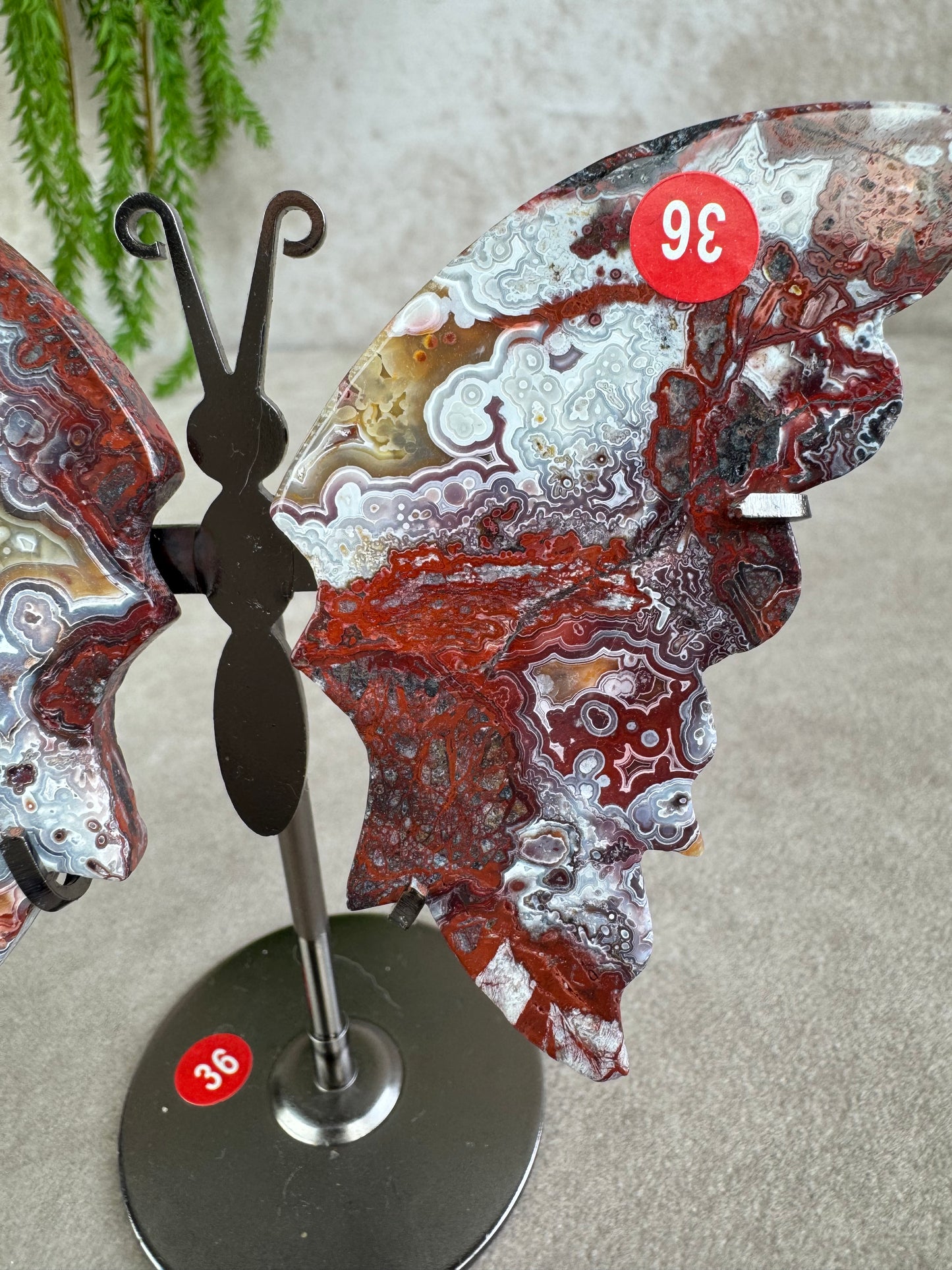 Vlinder crazy lace agaat #36