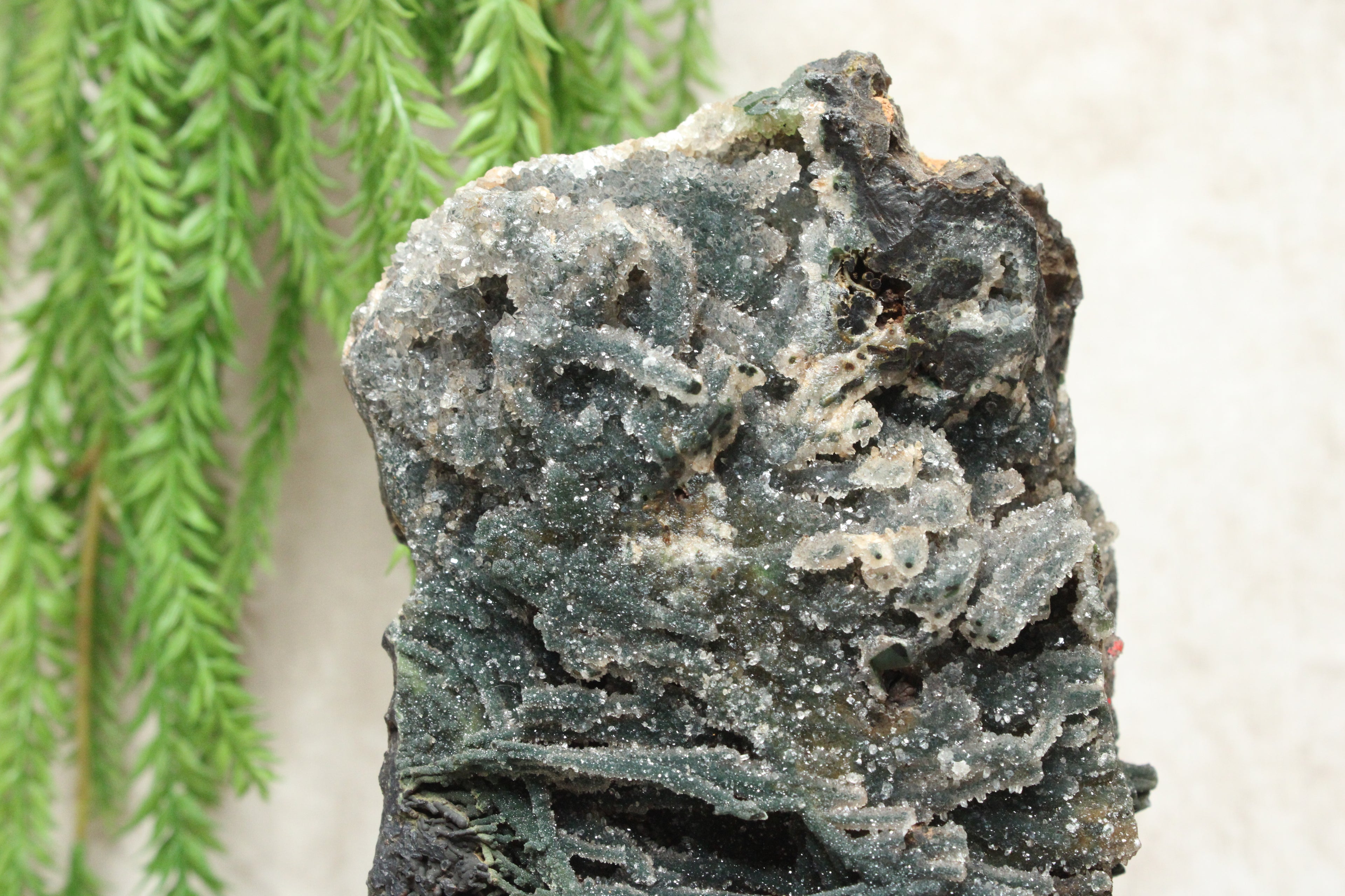 Chalcedoon op standaard #1257