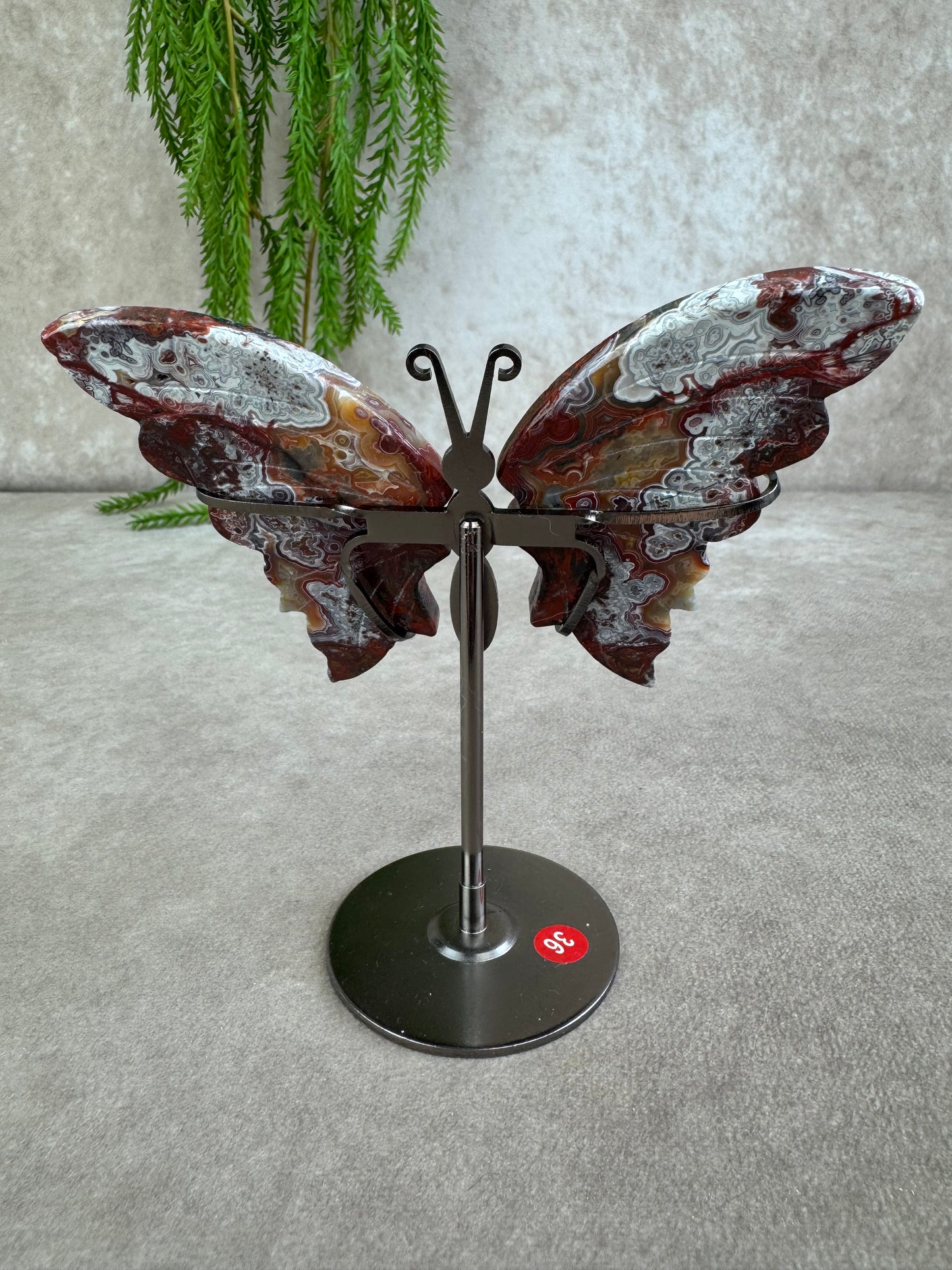 Vlinder crazy lace agaat #36